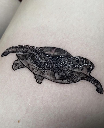 tattoo,aces,high,alex,rockoff,alexrockoff,west,palm,beach,traditional,neotraditional,beetle,beatle,flower,sunflower,floral,color